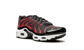 Nike Air Max Plus